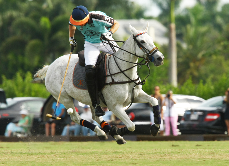 fallplateusapolomagazinethepolomagazinetournamentpachecophotos 7
